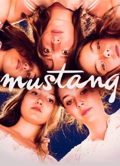 فيلم الحصان البري مترجم